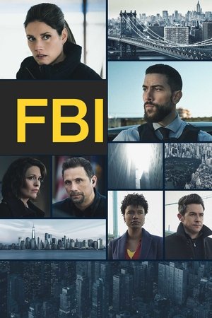 FBI: New York különleges ügynökei poszter