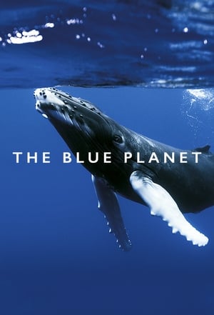 A kék bolygó poszter
