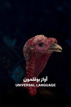 Universal Language poszter