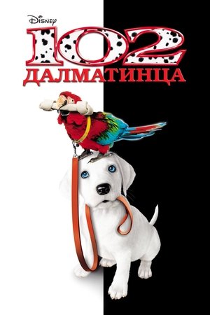 102 kiskutya poszter
