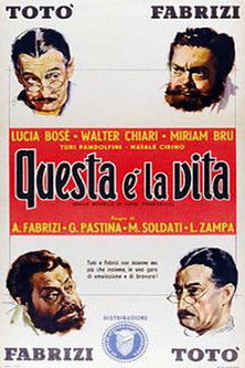 Questa è la vita poszter
