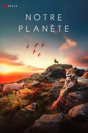 Our Planet - Bolygónk csodái poszter