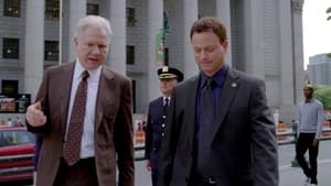 CSI: New York-i helyszínelők 7. évad Ep.7 Lesben