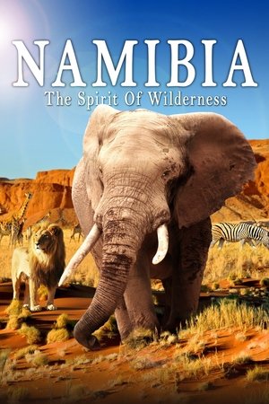 Namibia: The Spirit of Wilderness poszter