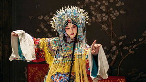 鬓边不是海棠红 kép