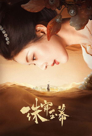 珠帘玉幕 poszter