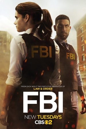 FBI: New York különleges ügynökei poszter