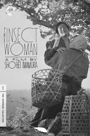 The Insect Woman poszter