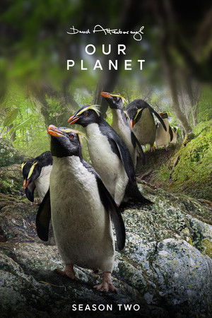 Our Planet – Bolygónk csodái