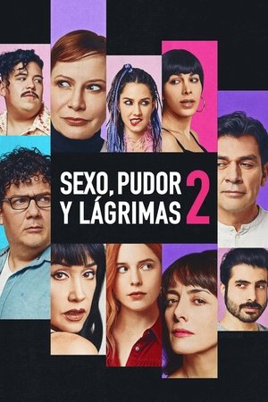 Sex, Shame and Tears 2 poszter