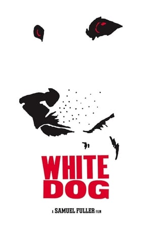 Fehér kutya