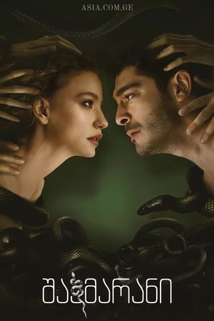 A kígyók úrnője poszter