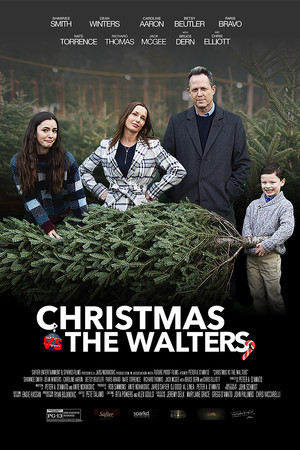 Christmas vs The Walters poszter