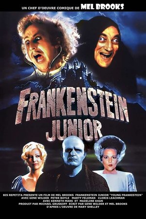 Az ifjú Frankenstein poszter