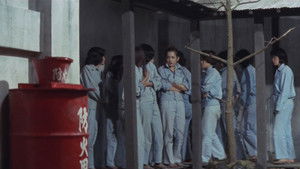 True Story of a Woman in Jail: Sex Hell háttérkép