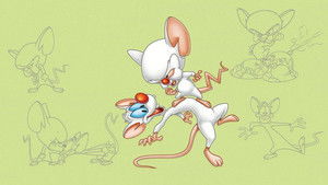 Pinky and the Brain kép