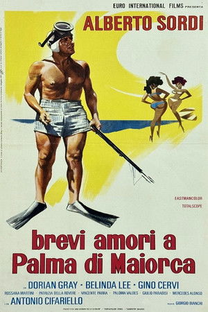 Vakáció Mallorcán poszter