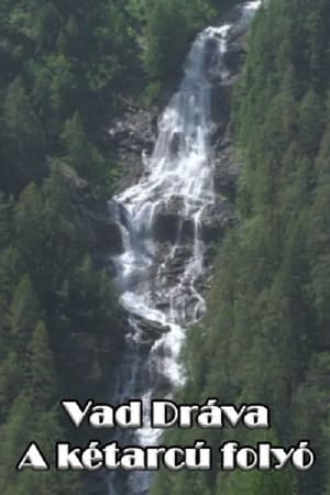 Vad Dráva - A kétarcú folyó poszter