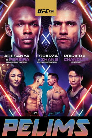 UFC 281: Adesanya vs. Pereira poszter