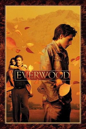Everwood poszter
