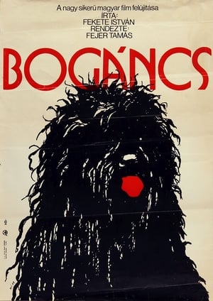 Bogáncs