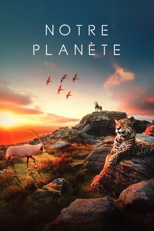 Our Planet – Bolygónk csodái poszter