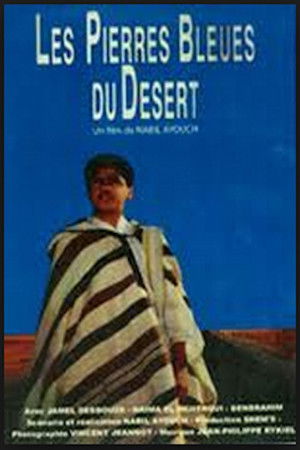 Les pierres bleues du désert
