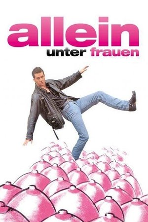 Allein unter Frauen poszter