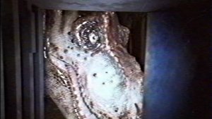 Jurassic Park - Found Footage: Outpost B háttérkép