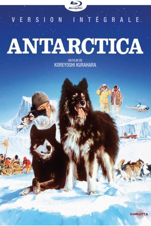 Antarctica poszter