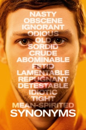 Synonyms poszter