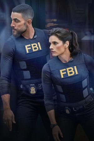 FBI: New York különleges ügynökei poszter