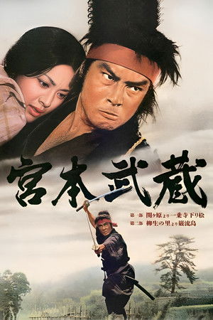 Miyamoto Musashi poszter