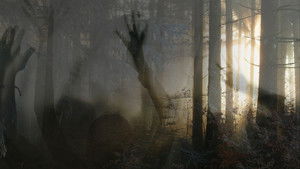 Paranormal Survivor kép