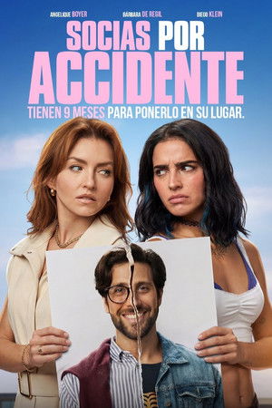 Accidental Partners poszter