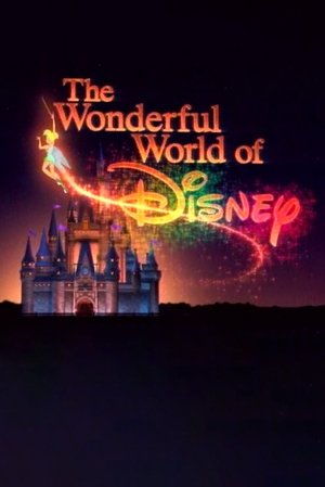 The Wonderful World of Disney poszter