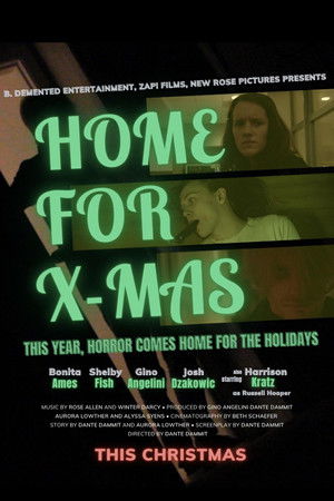 Home for X-Mas poszter