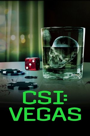 CSI: Las Vegas-i helyszínelők poszter