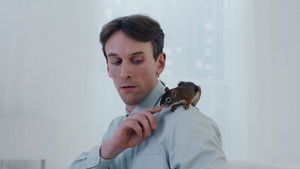 The Squirrel háttérkép