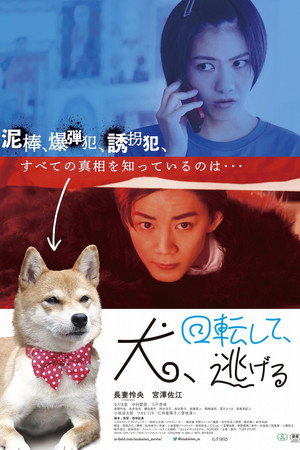 犬、回転して、逃げる poszter