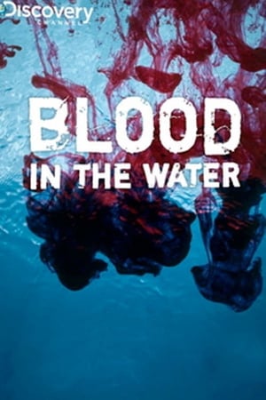 Blood in the Water poszter