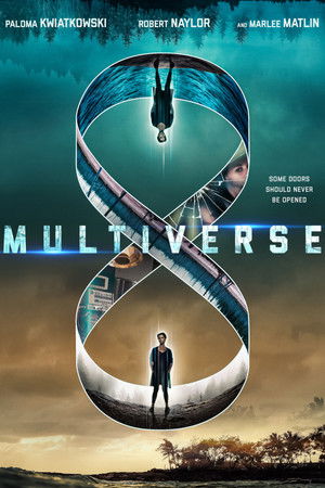 Multiverse poszter