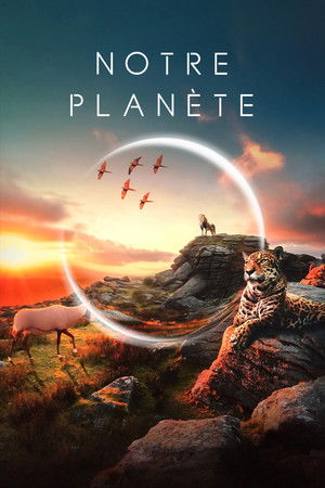 Our Planet – Bolygónk csodái poszter