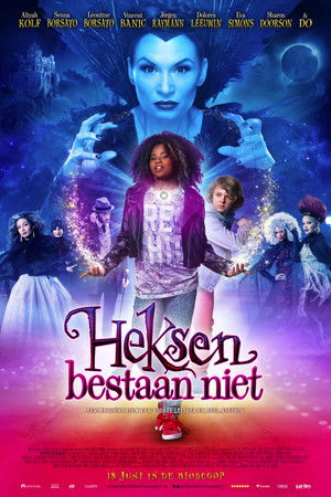 Heksen Bestaan Niet poszter