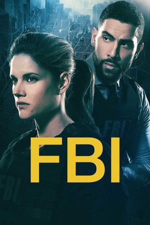 FBI: New York különleges ügynökei poszter