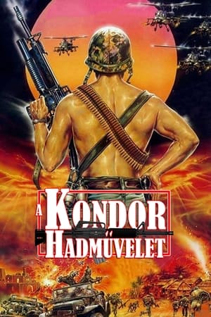 A kondor hadművelet