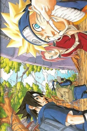 Naruto Shippuden poszter
