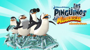 A Madagaszkár pingvinjei kép