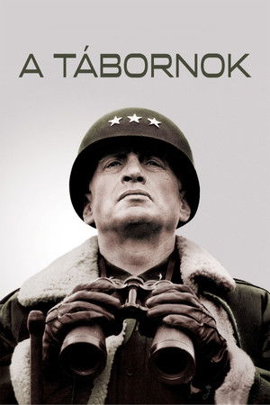 A tábornok