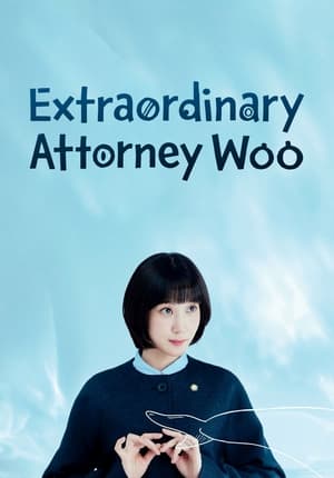 Egy különleges ügyvéd, Woo poszter